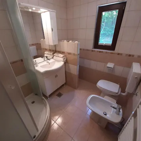 Apartament Tatiana Rogaska Slatina Exterior photo